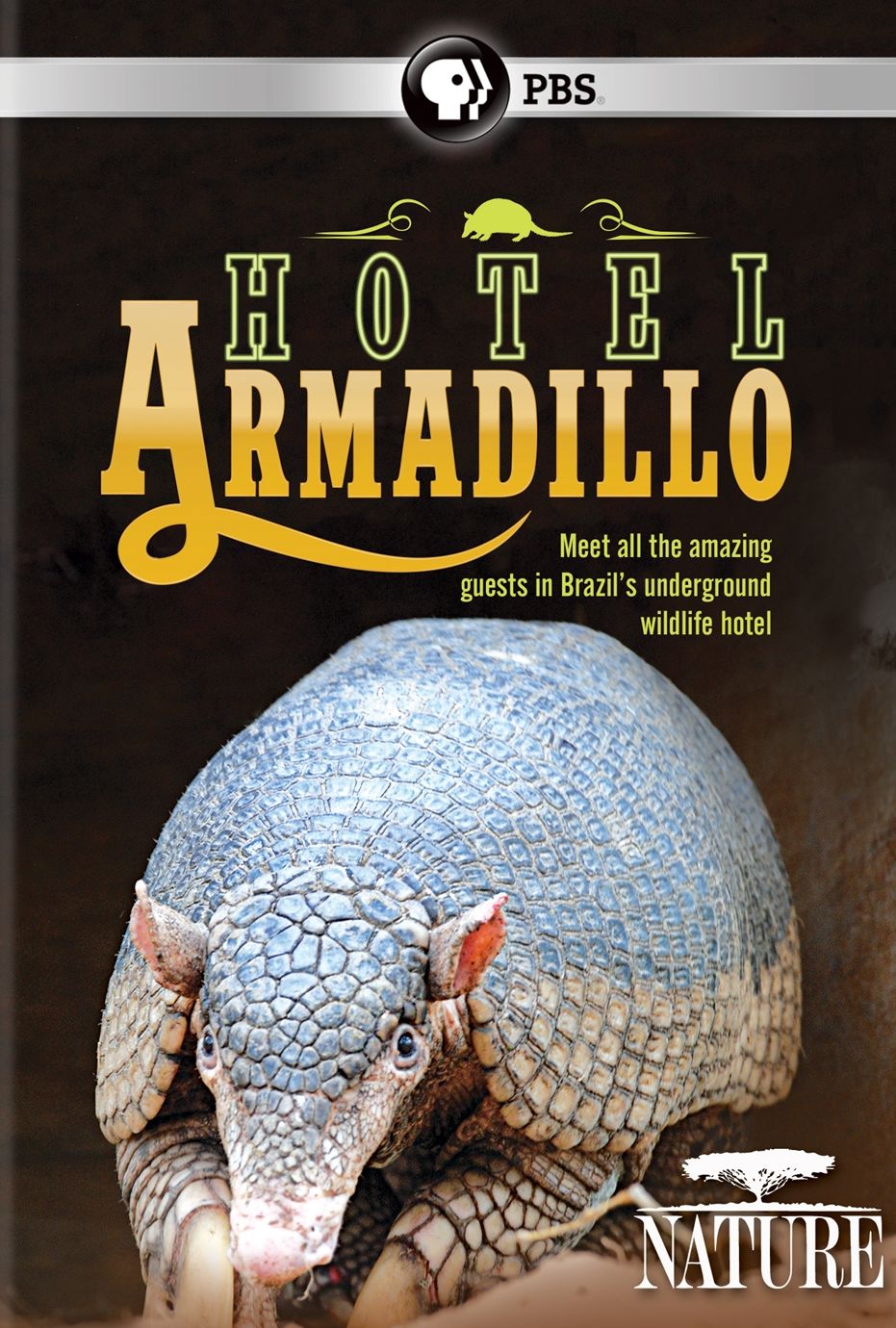Nature: Hotel Armadillo