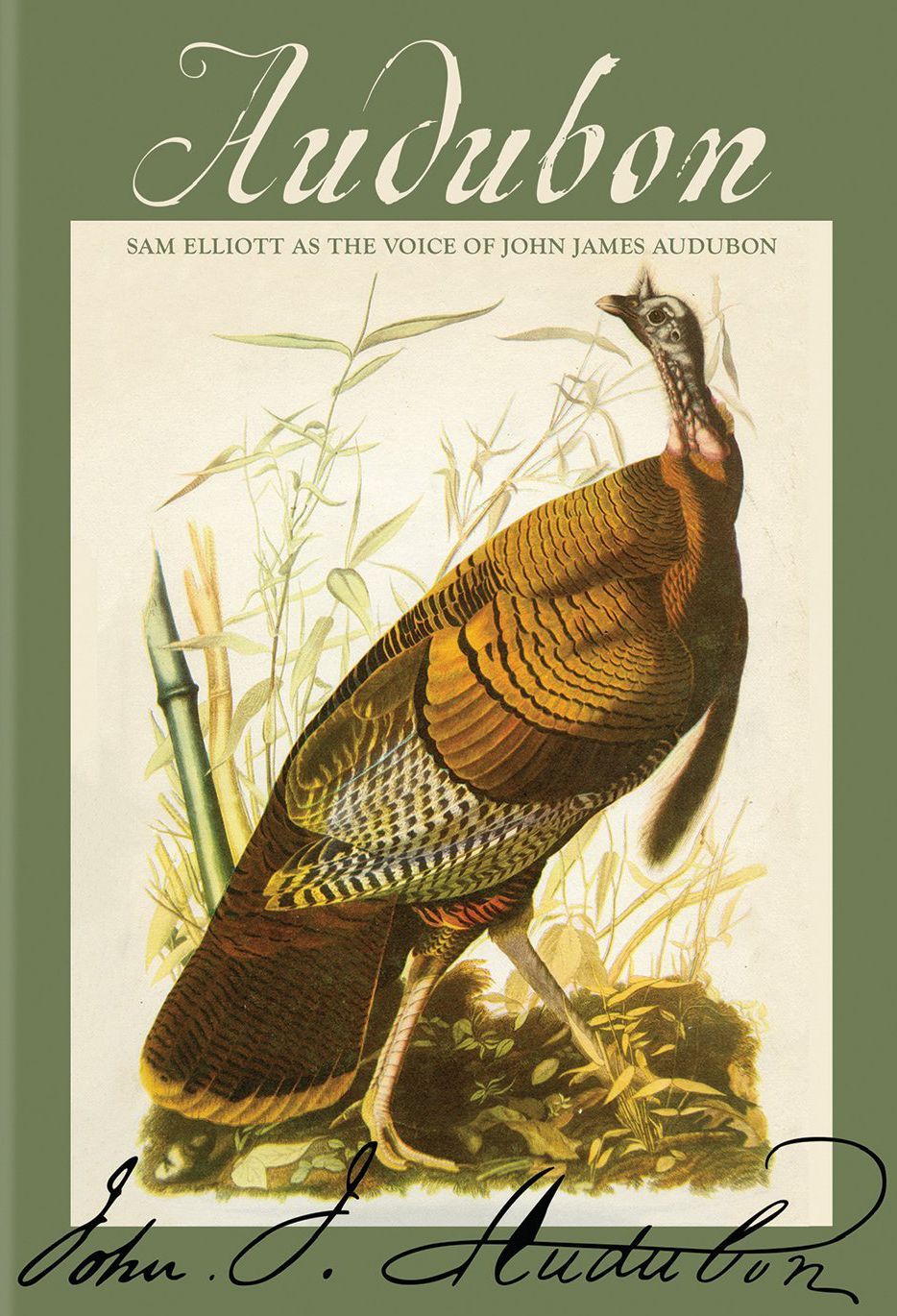 Audubon