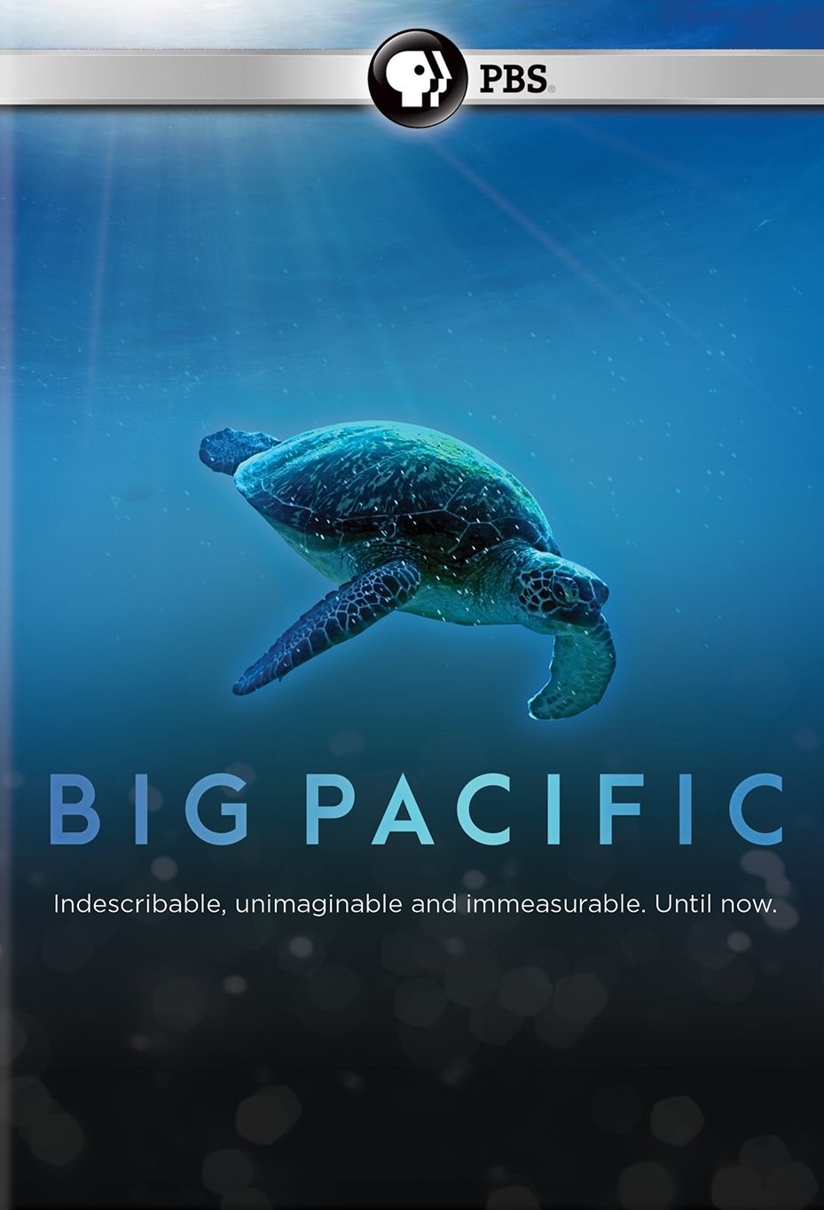 Big Pacific [2 Discs]