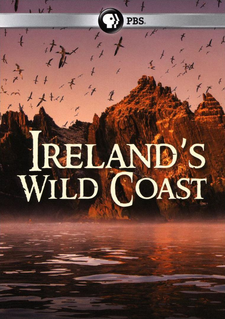 Ireland's Wild Coast