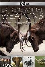 NOVA: Extreme Animal Weapons