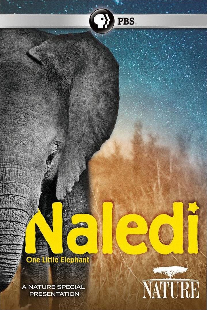 Nature: Naledi Little Elephant