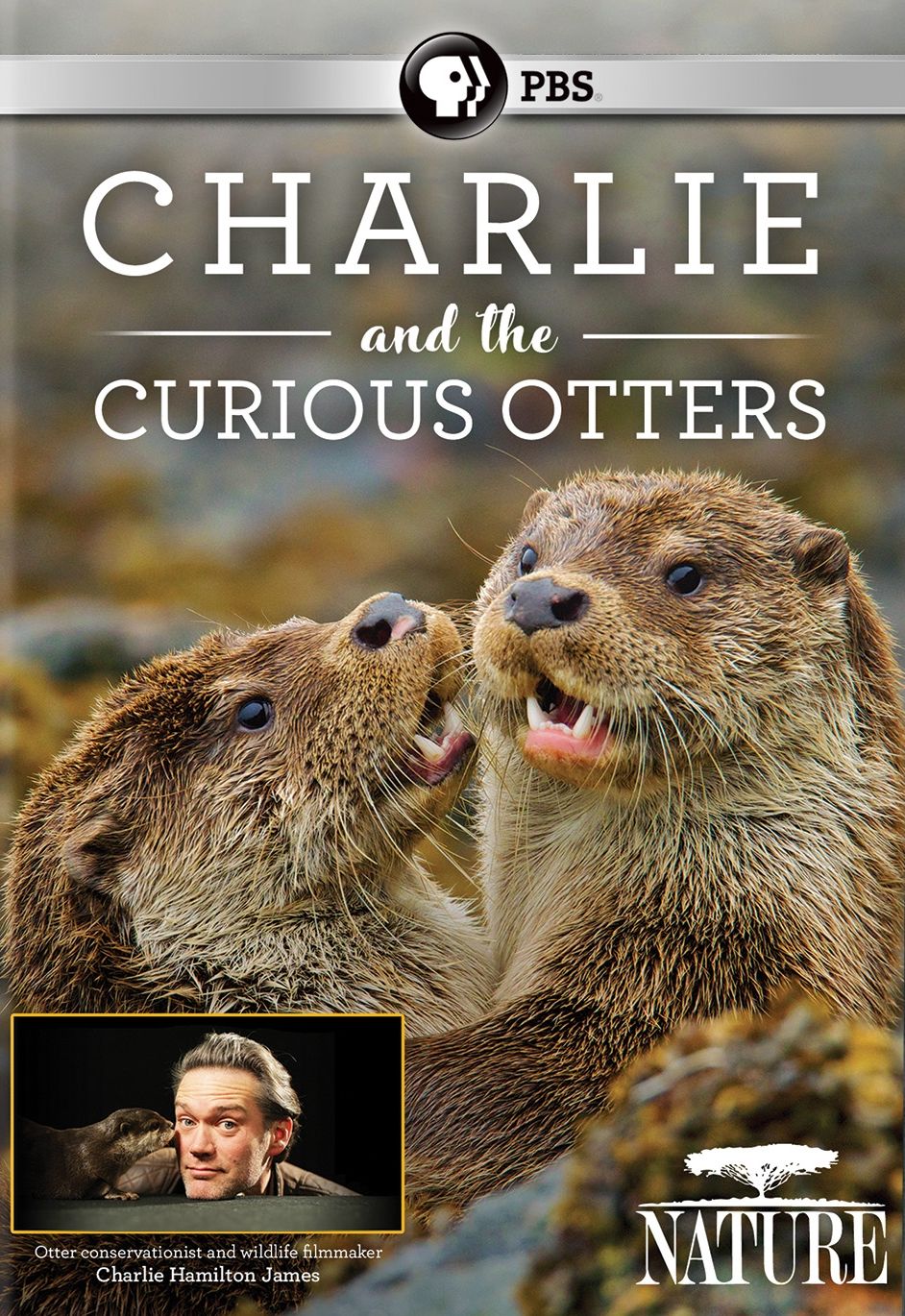 Nature: Charlie Curious Otters