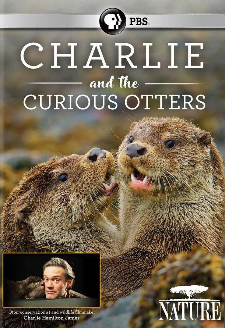 Nature: Charlie Curious Otters