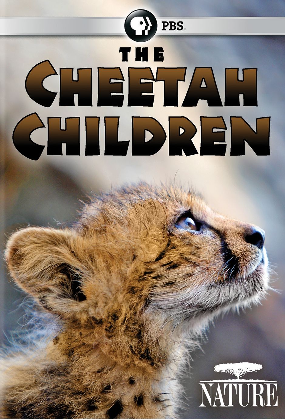 Nature: The Cheetah Children