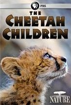 Nature: The Cheetah Children