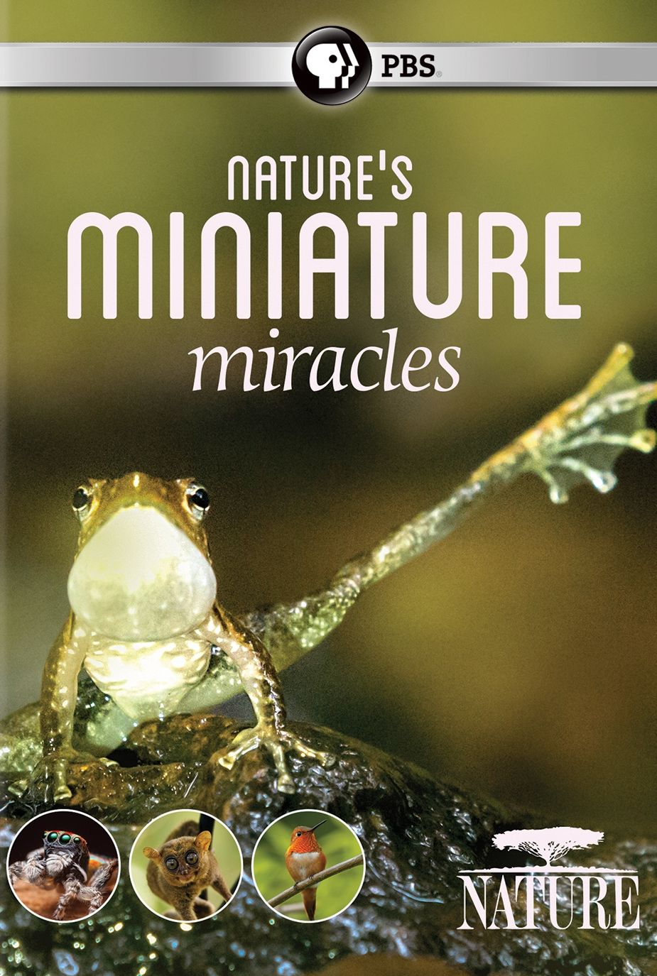 Nature's Mini Miracles