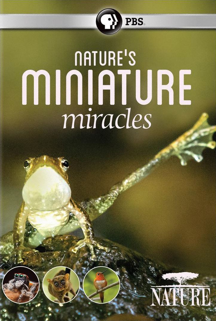 Nature's Mini Miracles