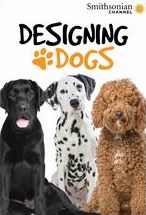 Designing Dogs