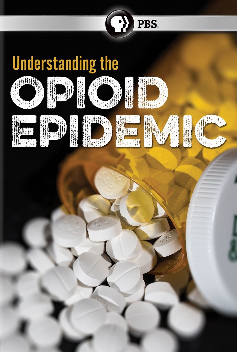 Understanding The Opioid Epidemic