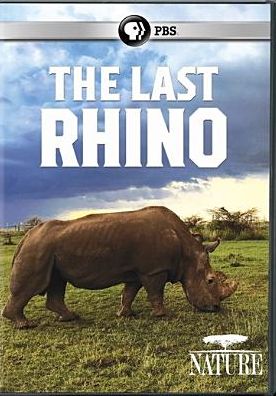 Nature: Last Rhino