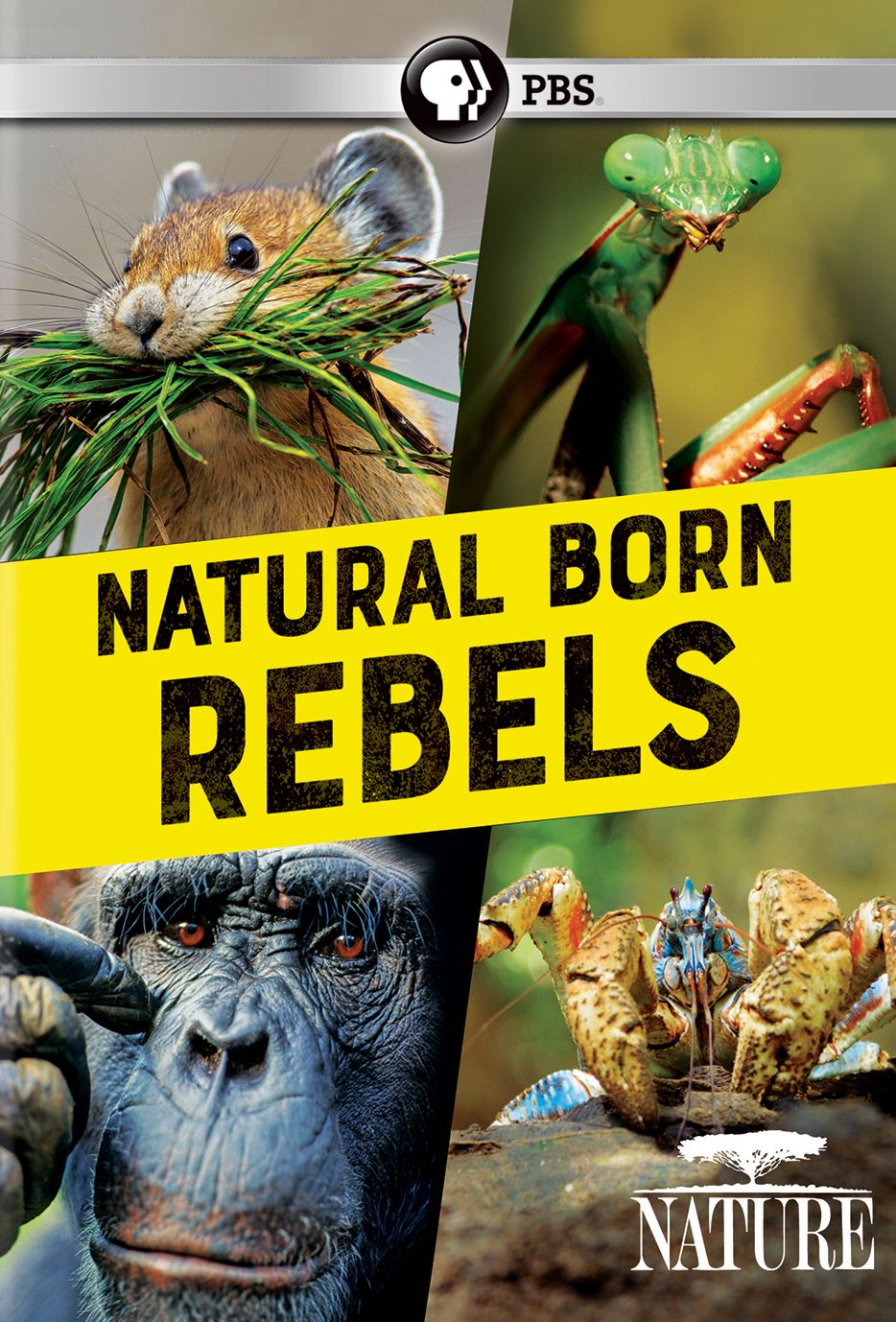Nature: Natural Born Rebels