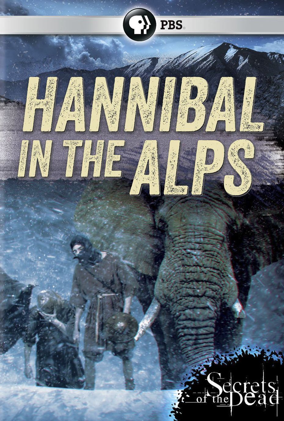 Secrets Of The Dead: Hannibal In The Alps