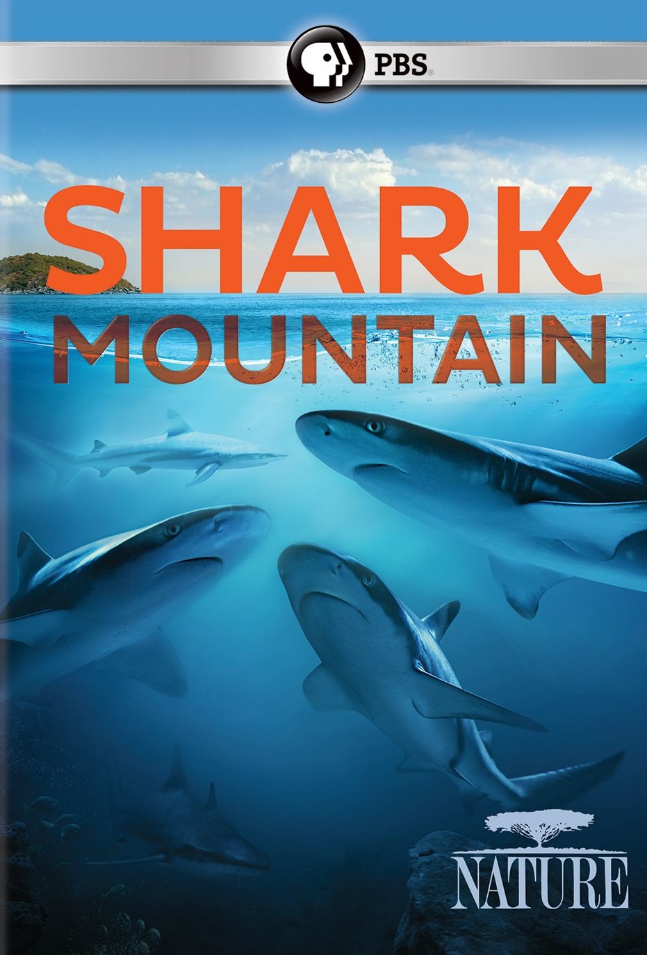 Nature: Shark Mountain