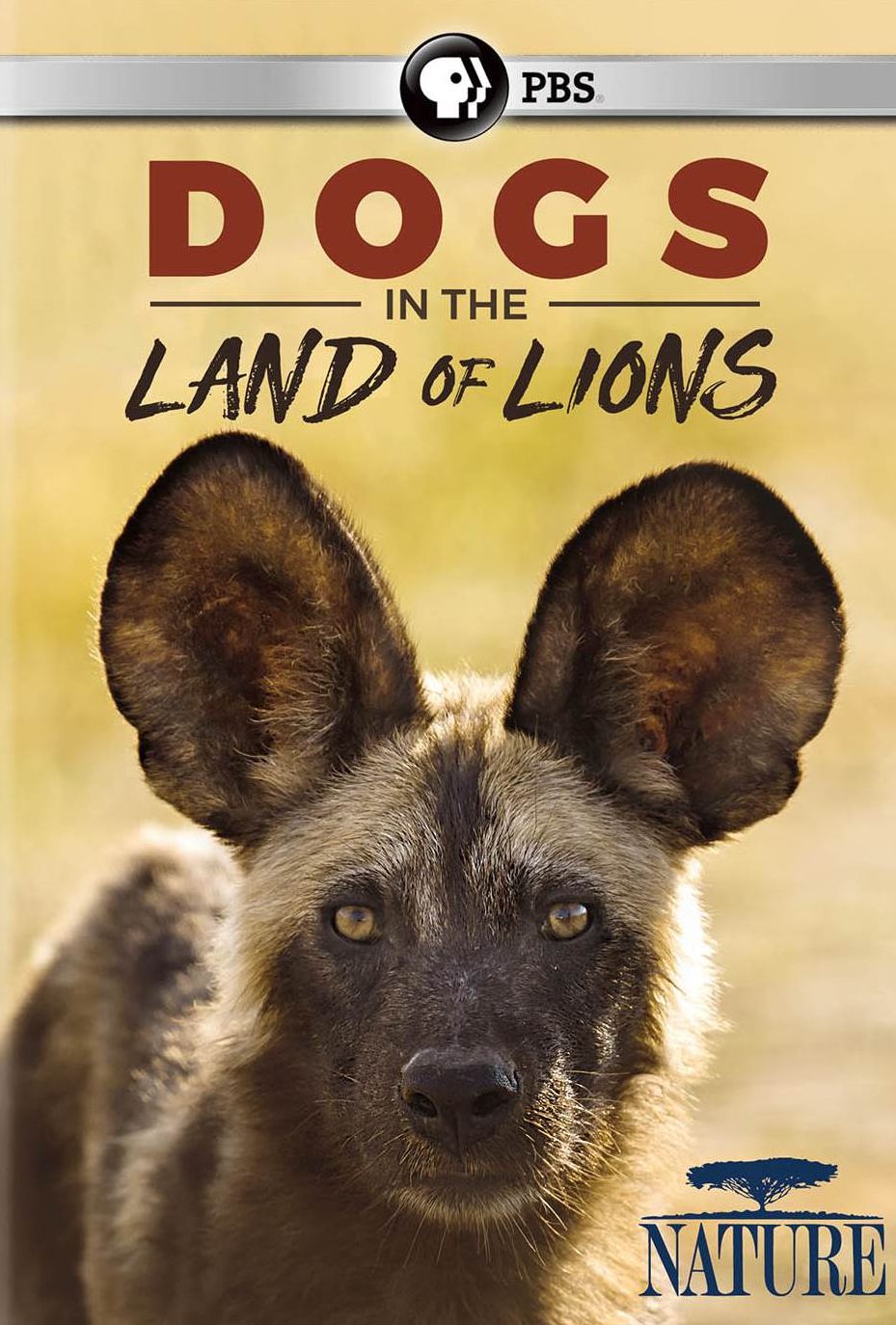 Nature: Dogs in the Land of Lions