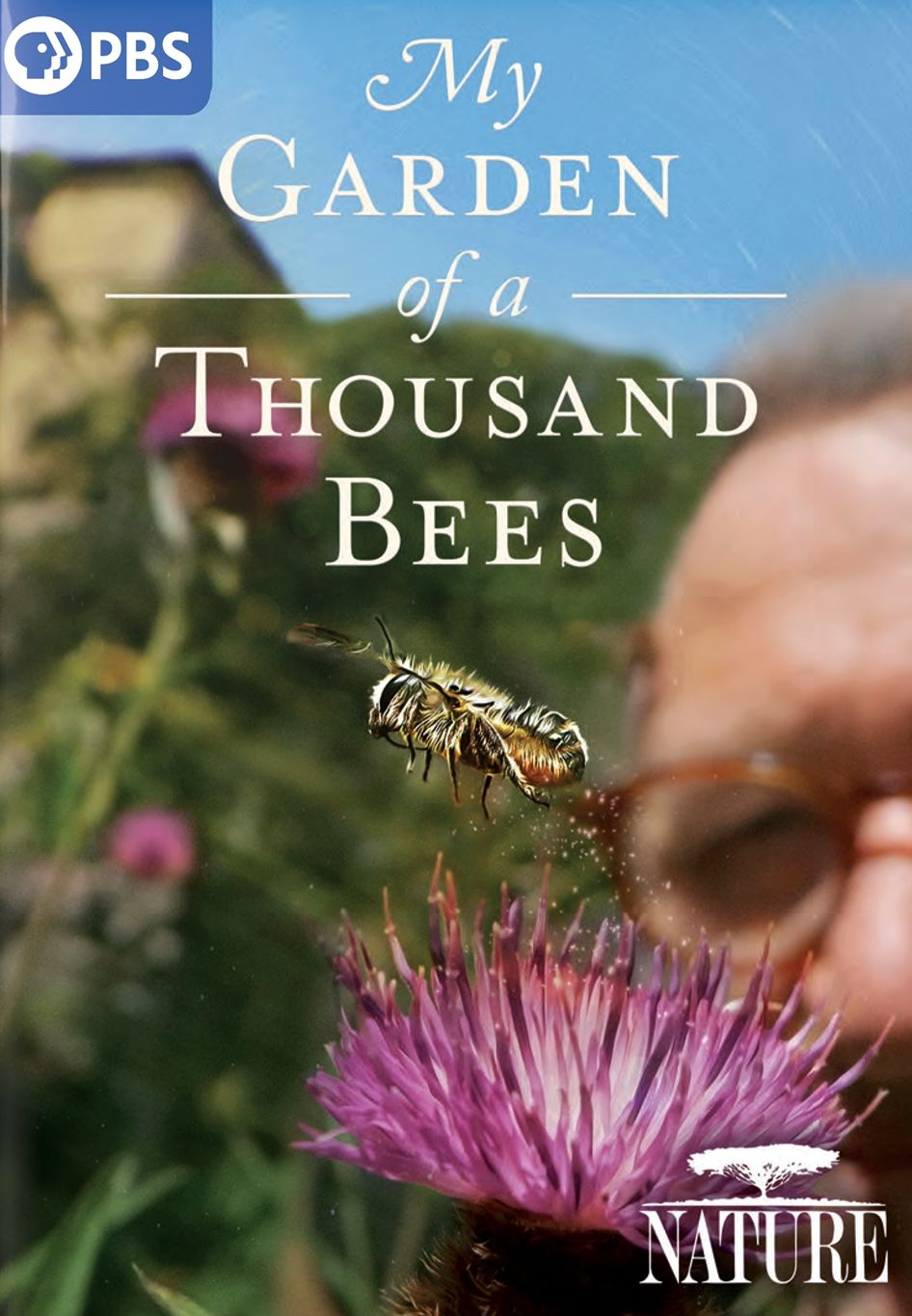 Nature: My Garden Of A Thousand Bees