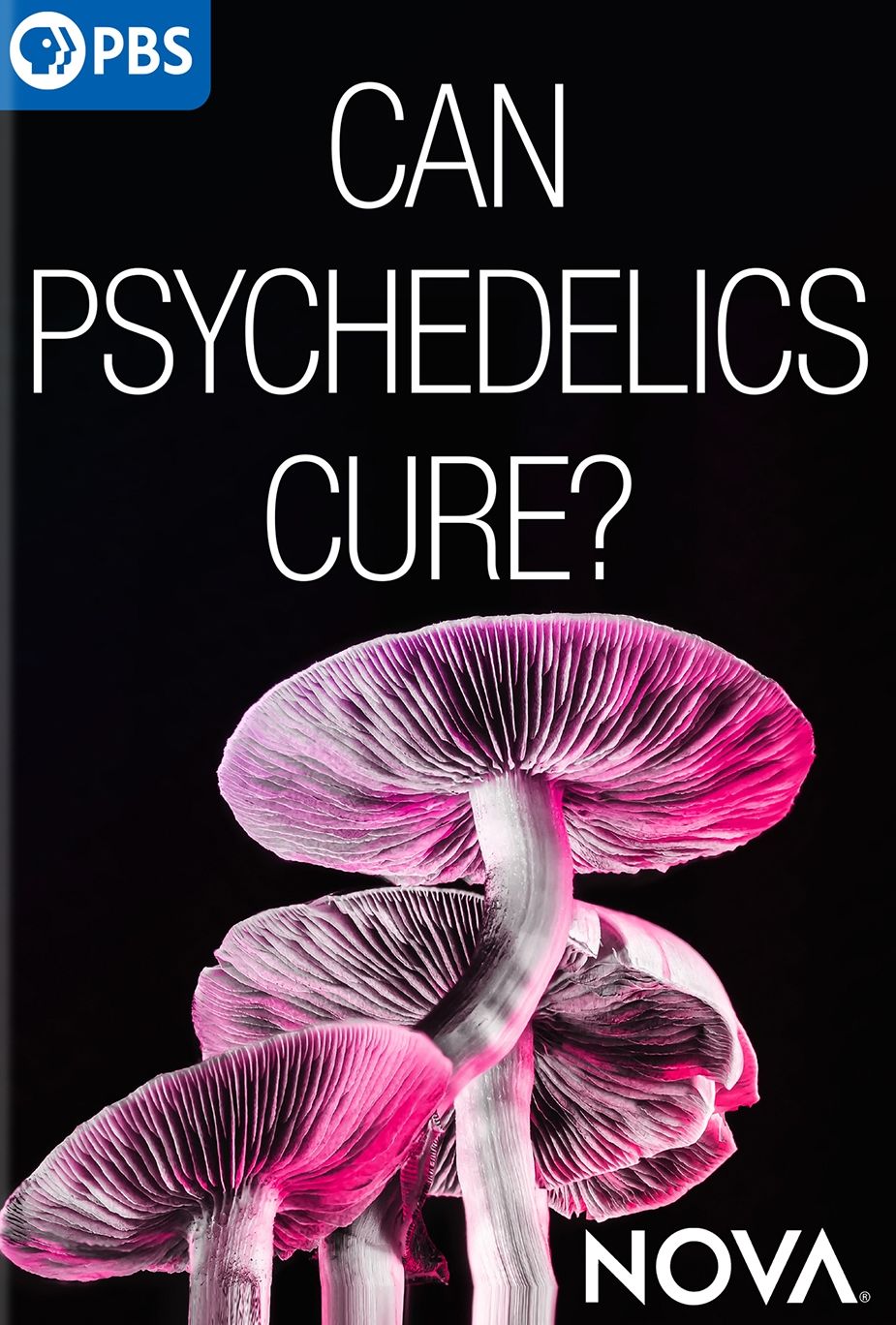 Nova: Can Psychedelics Cure