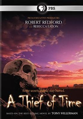 A Thief of Time