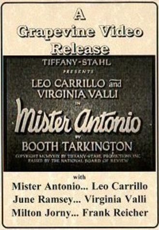 Mister Antonio