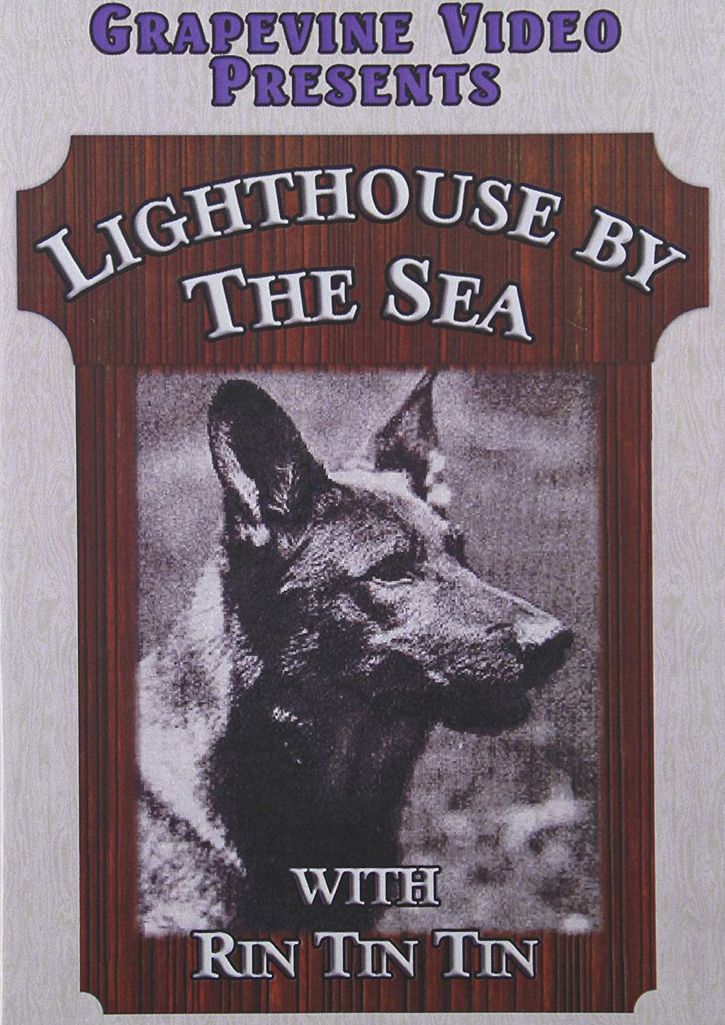 Lighthouse by the Sea