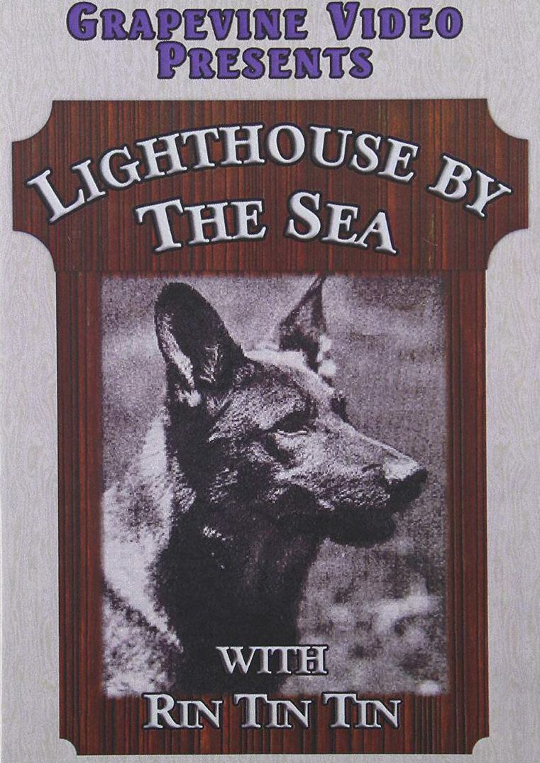 Lighthouse by the Sea