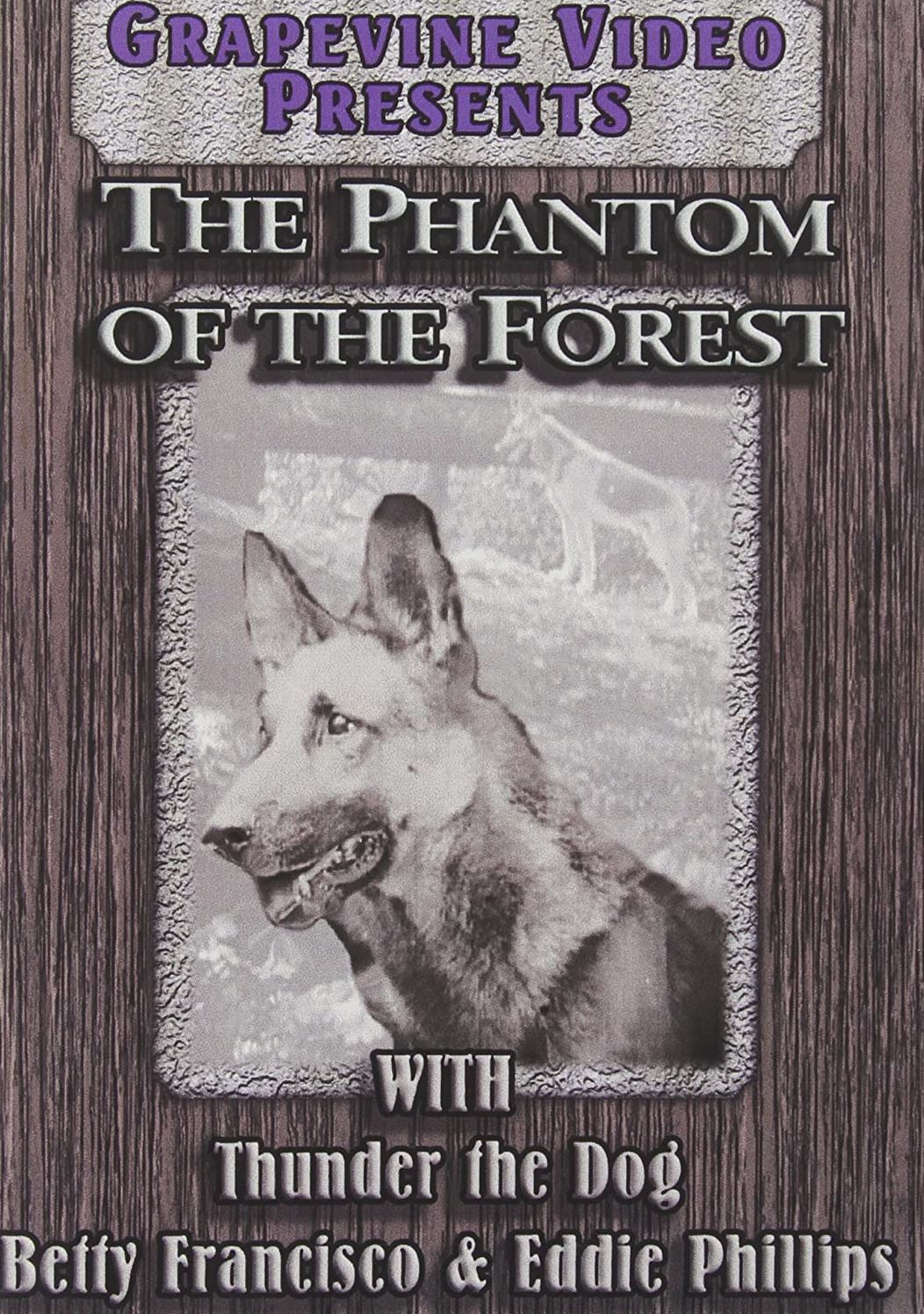 Phantom of the Forest