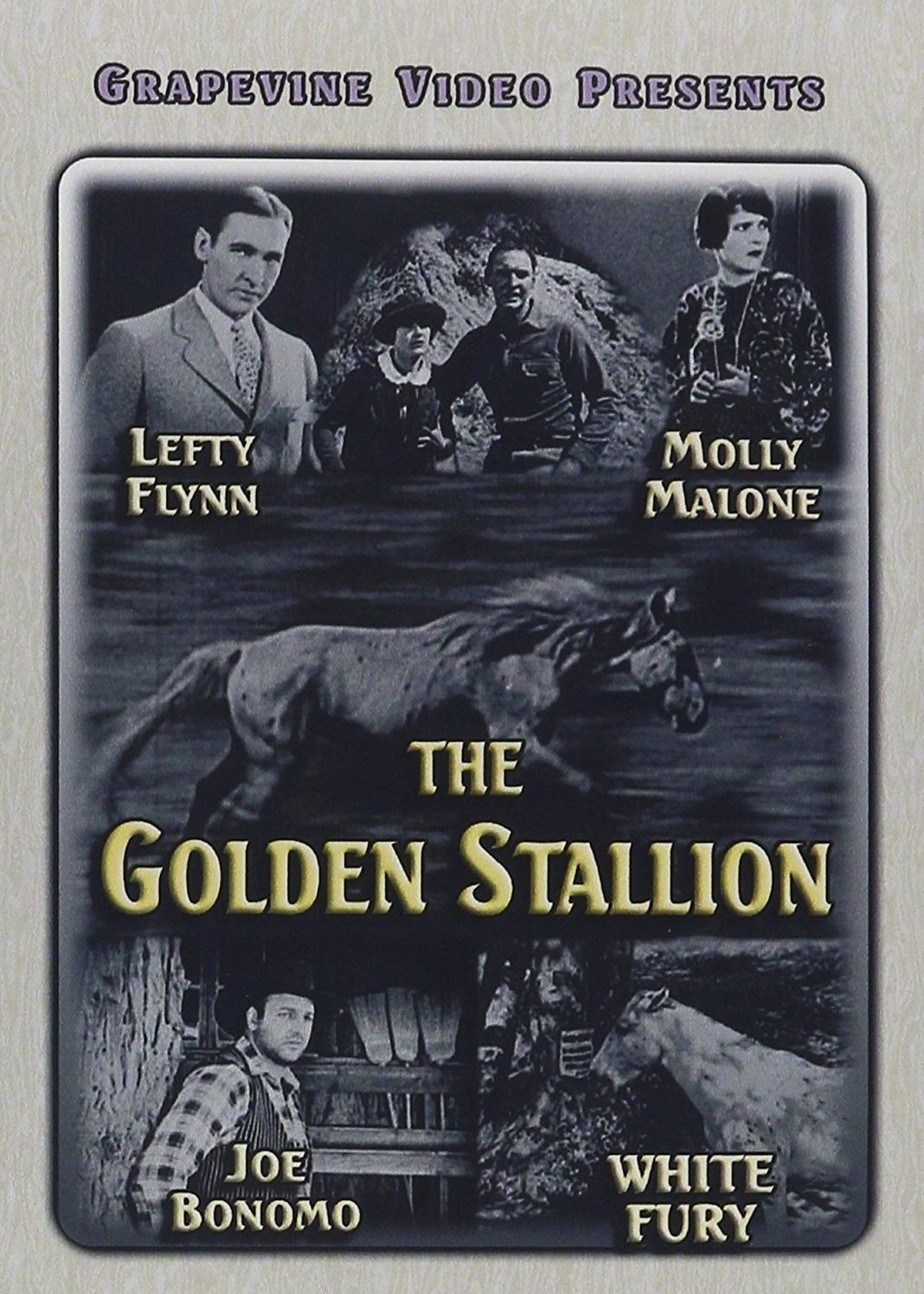 The Golden Stallion