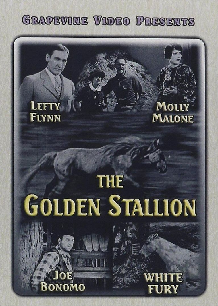 The Golden Stallion