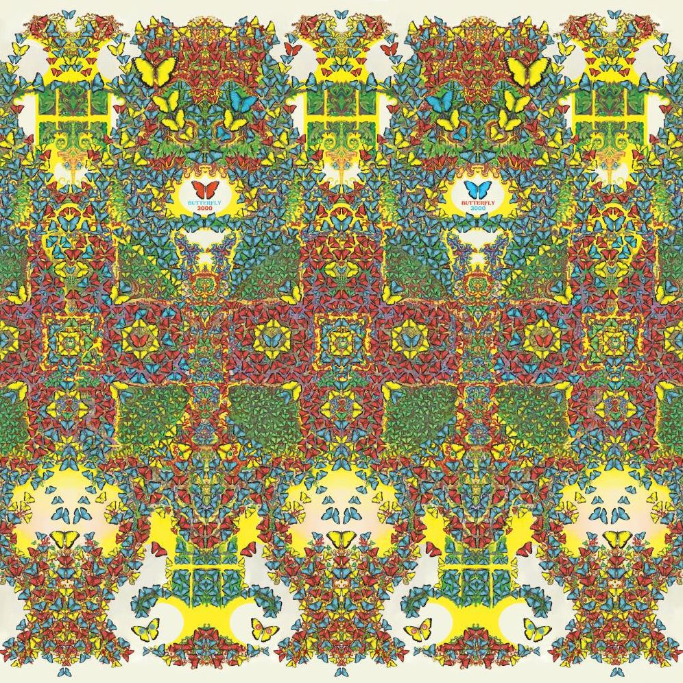 Butterfly 3000 (Sft)