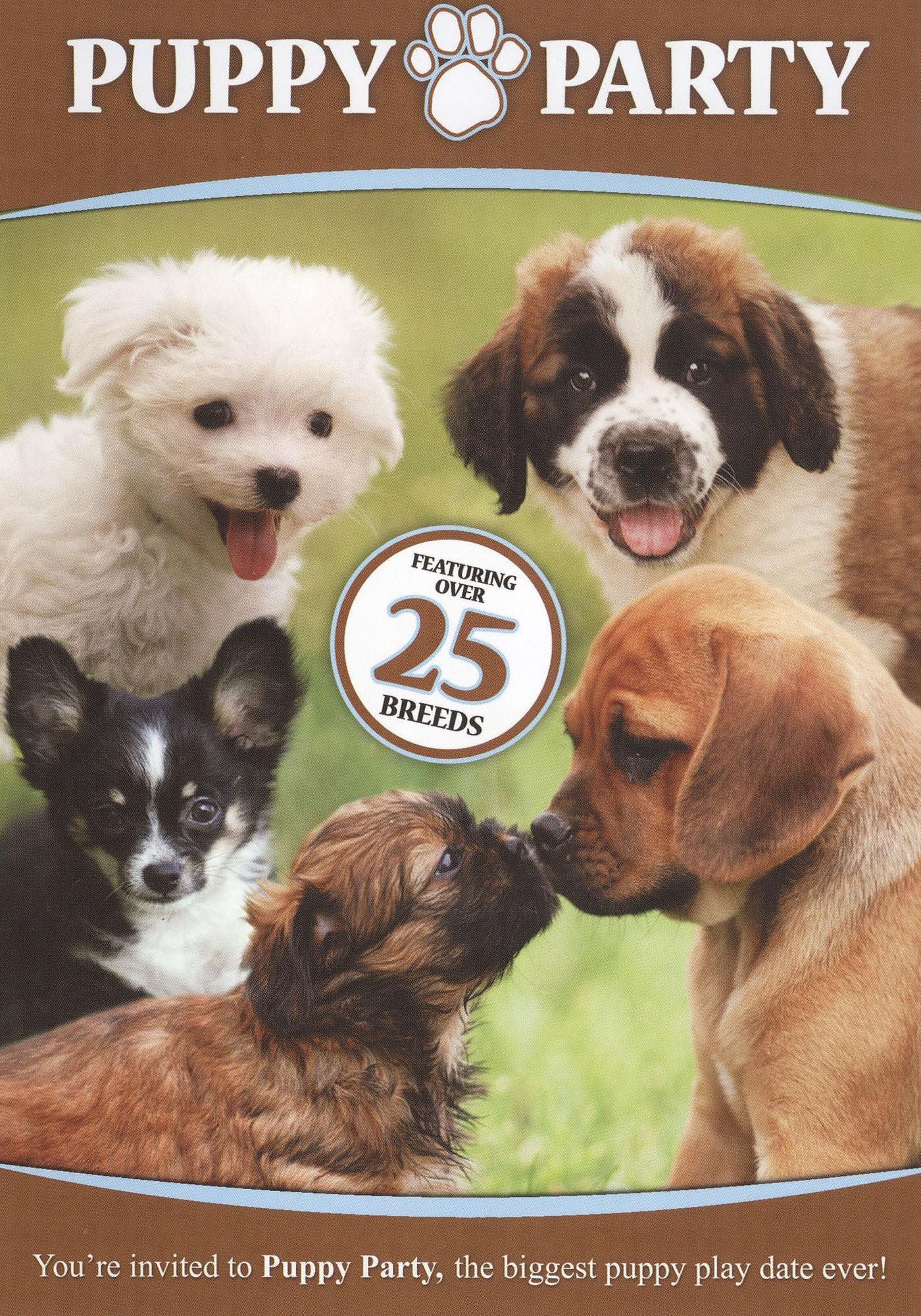 Puppy Party