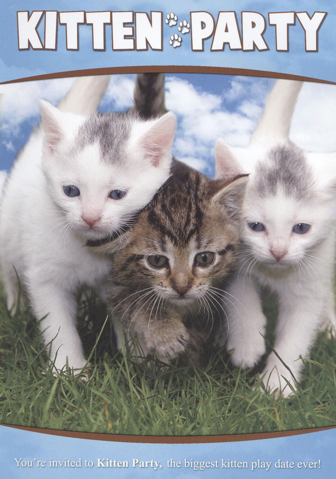Kitten Party