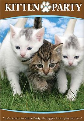 Kitten Party