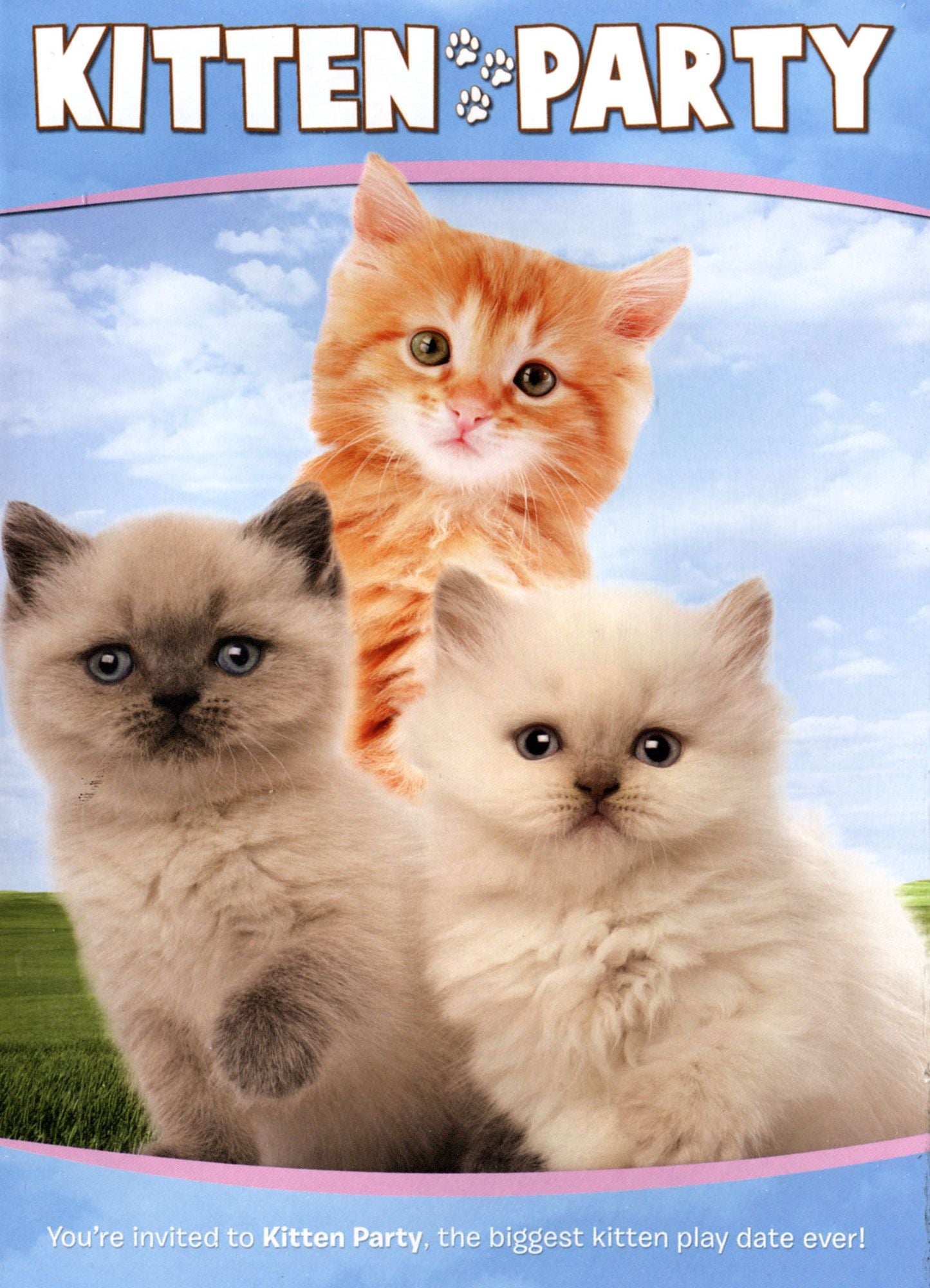 Kitten Party