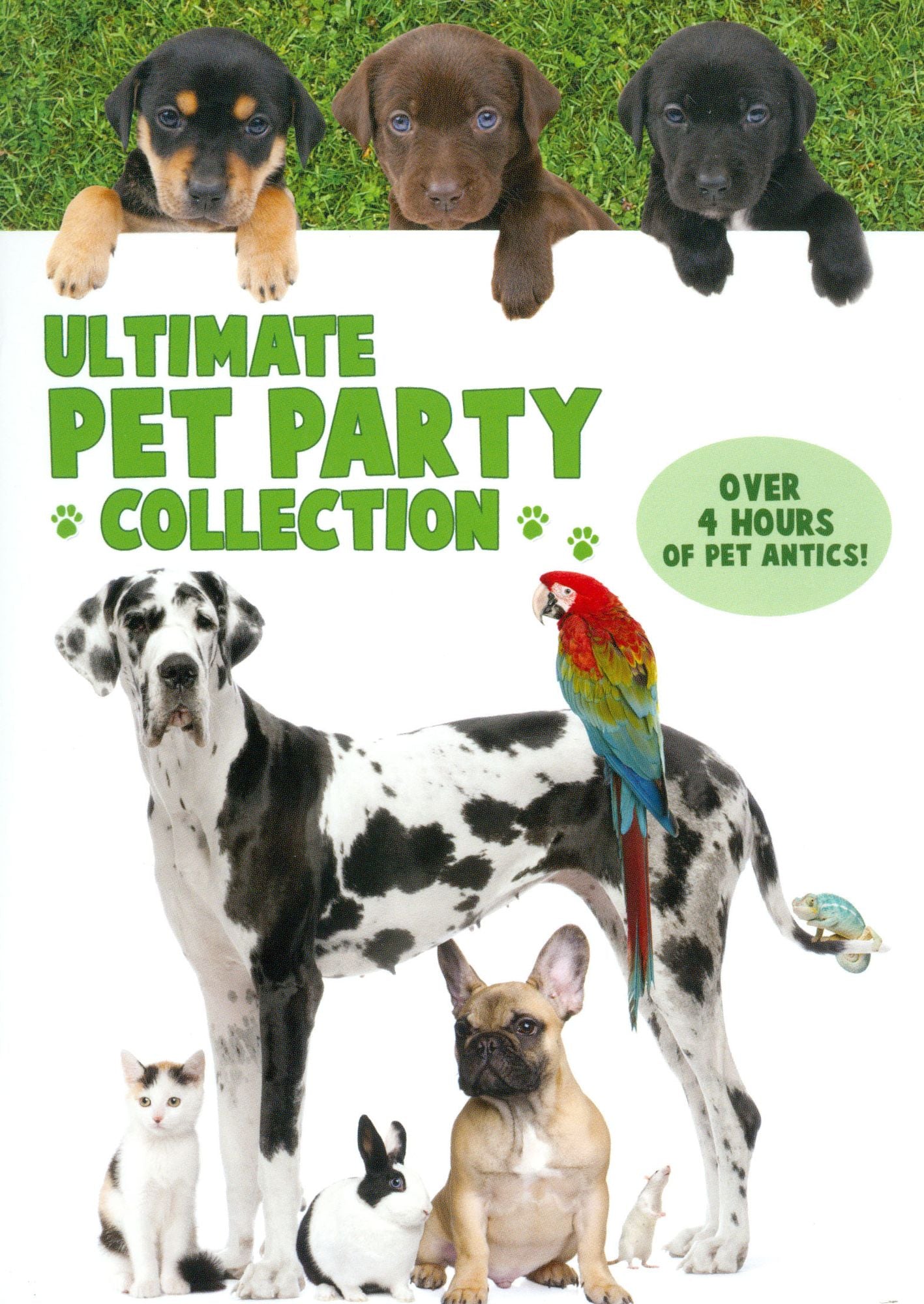 Animal Atlas: Pet Party Pack