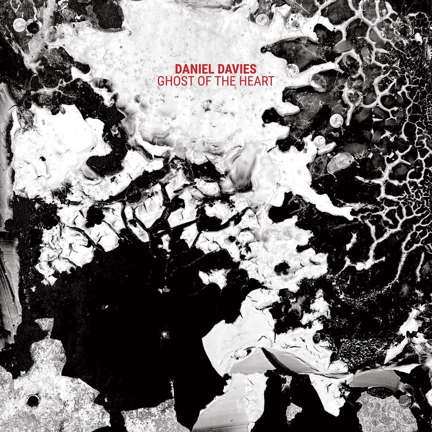 Ghost Of The Heart (Daniel Davies)