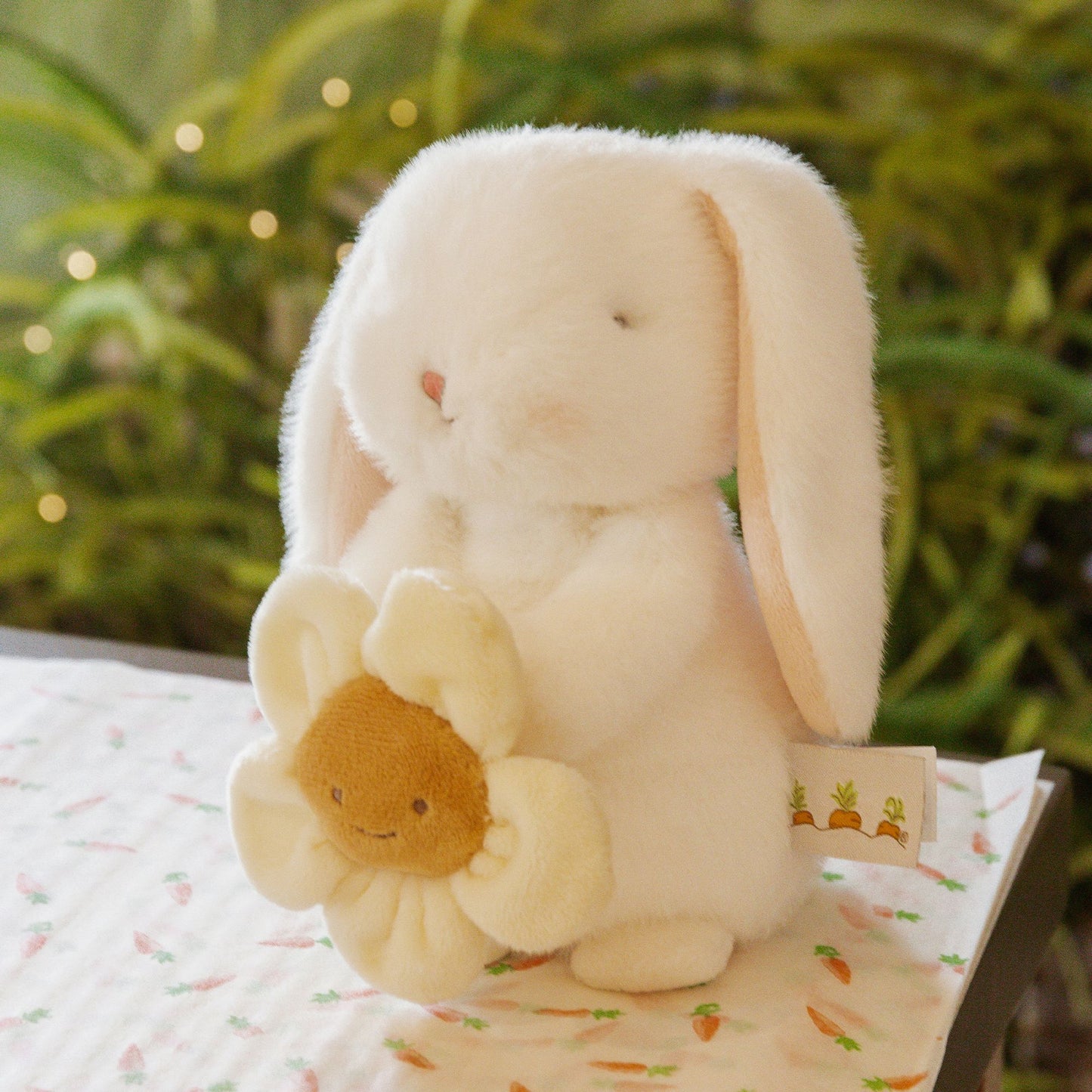 Charlotte Bunny 2025 Spring - B&N Exclusive