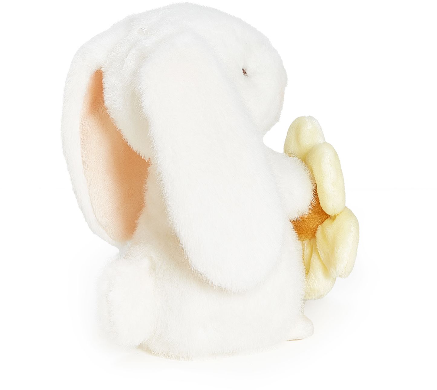 Charlotte Bunny 2025 Spring - B&N Exclusive