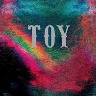 Toy