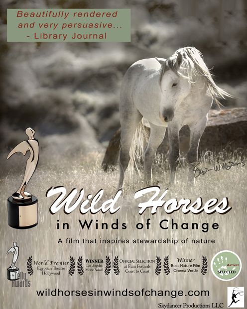 Wild Horses in Winds of Change
