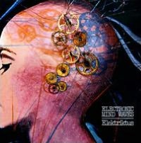 Electronic Mind Waves