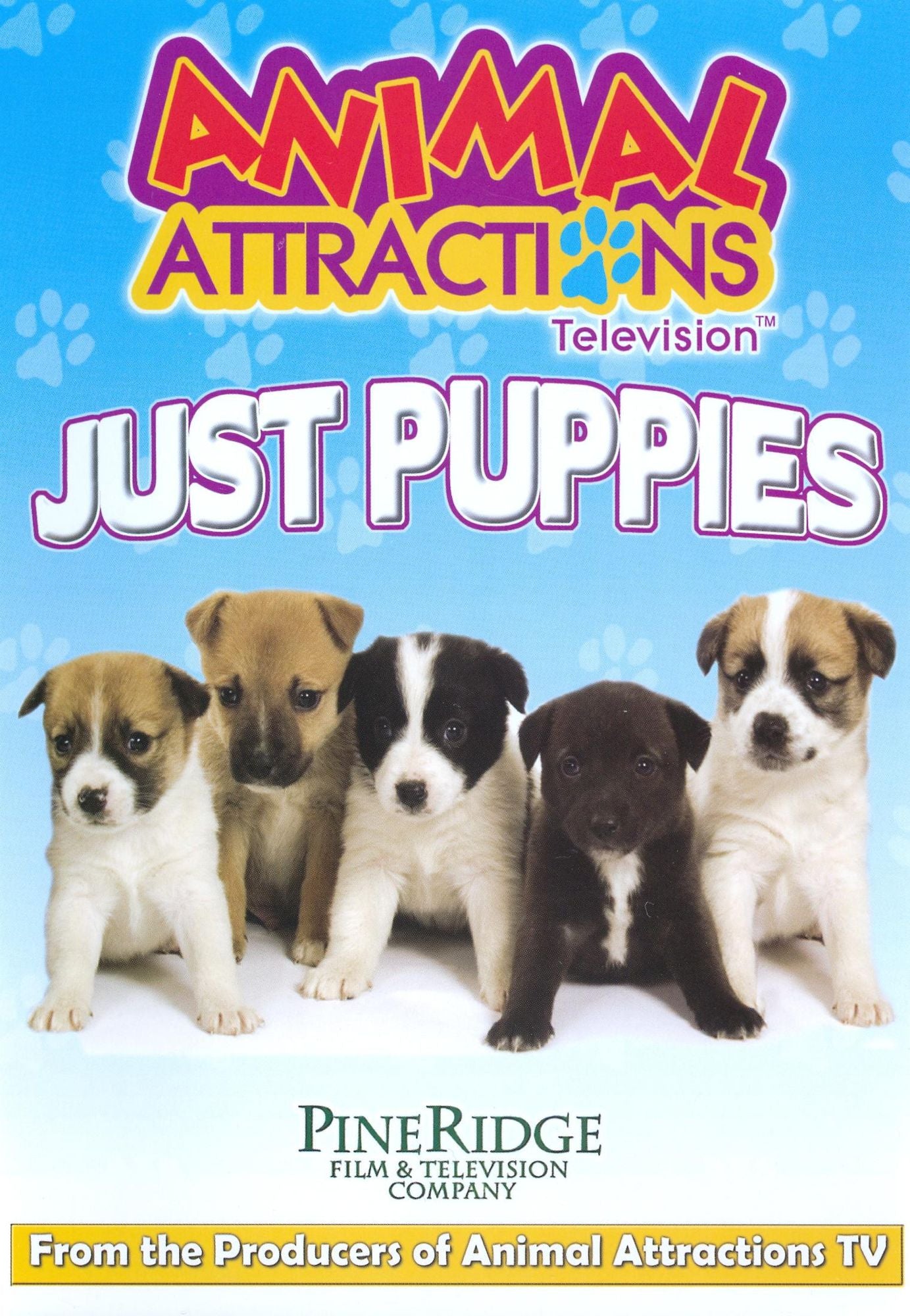 Aimal Attractions Television: Just Puppies