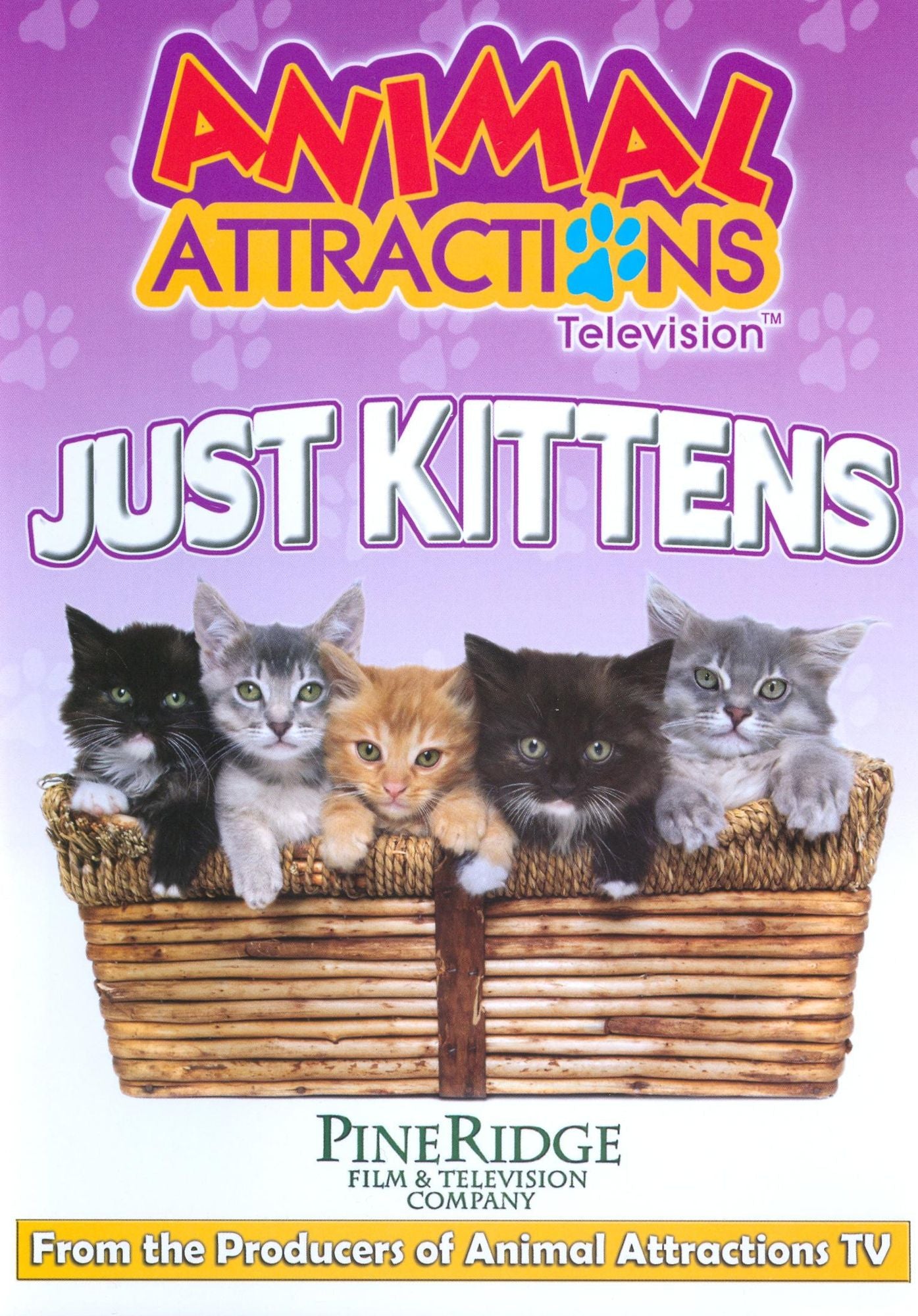 Aimal Attractions Television: Just Kittens