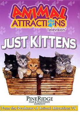 Aimal Attractions Television: Just Kittens