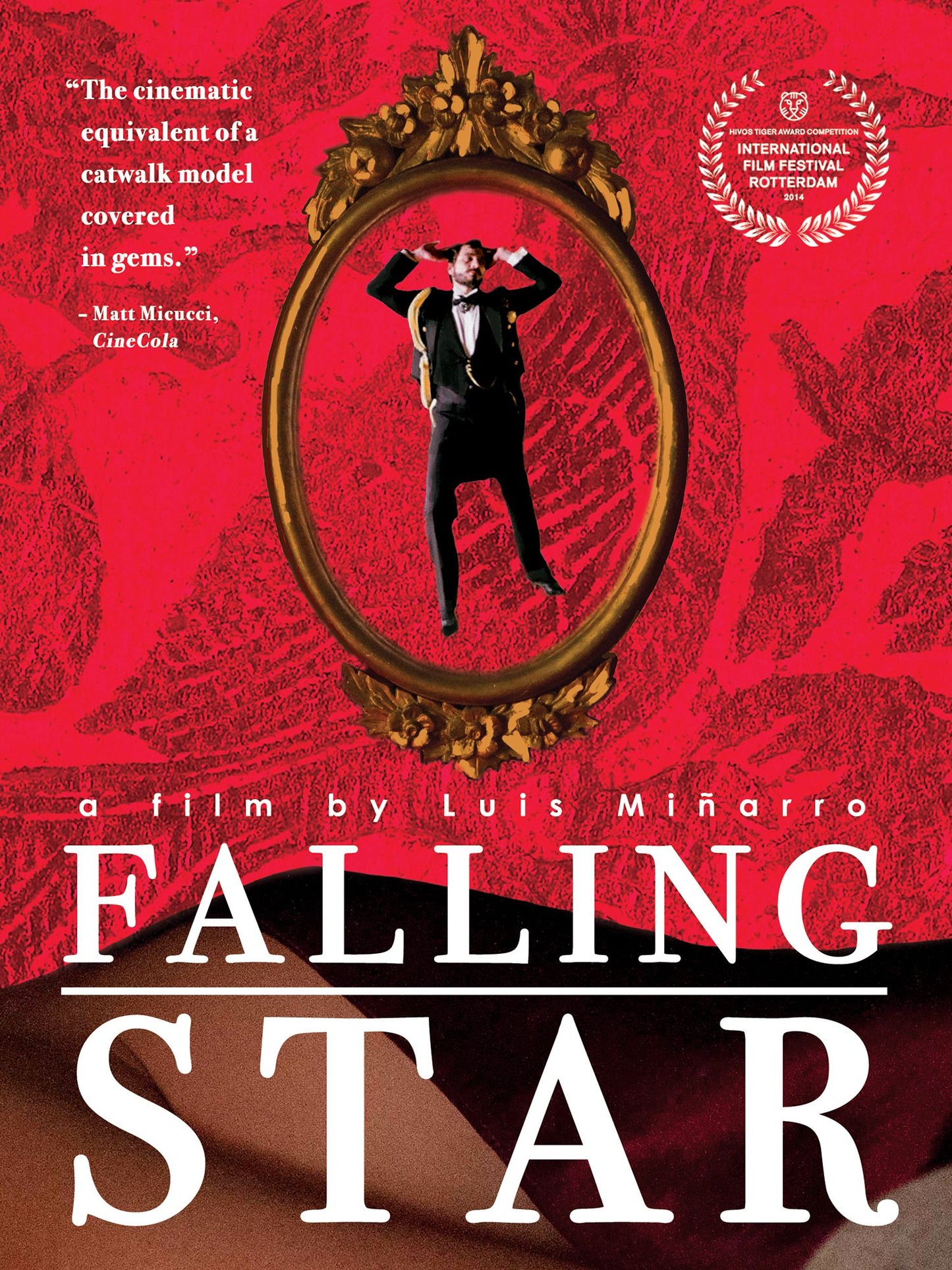 Falling Star