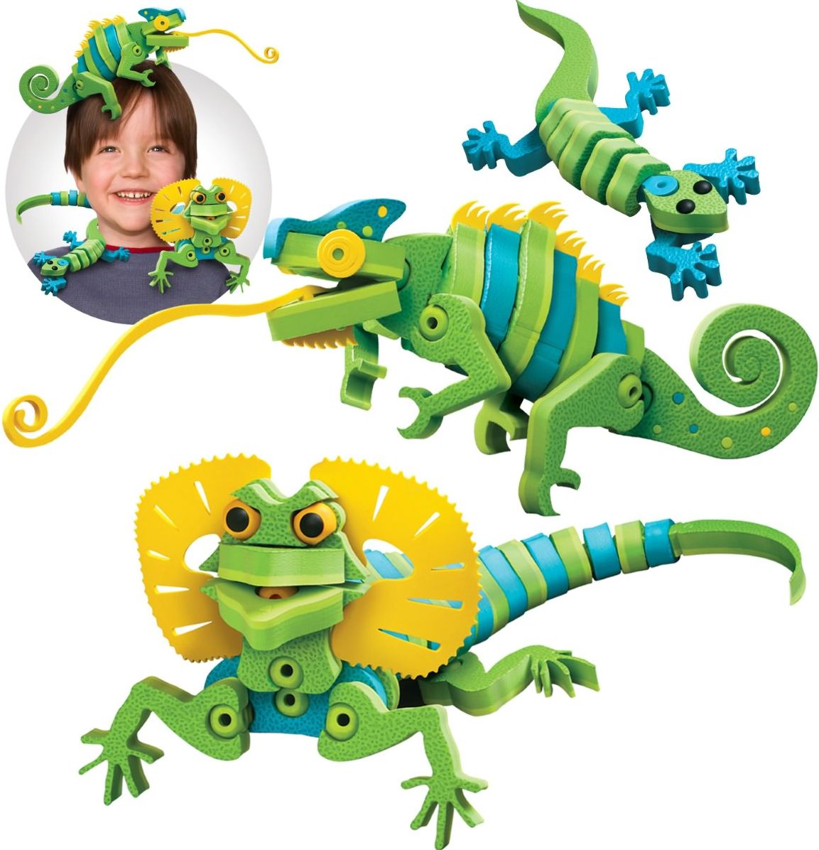 Bloco - Lizards & Chameleons