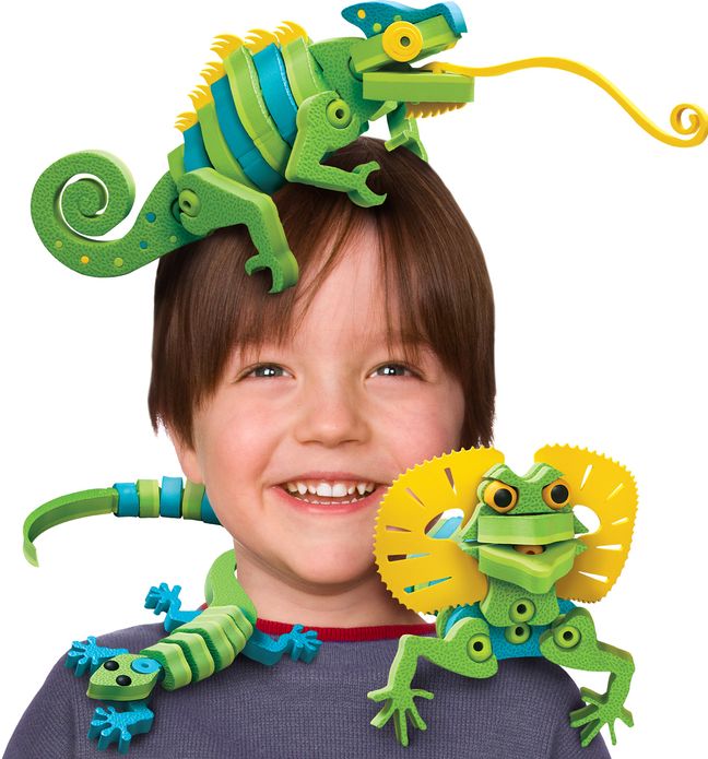 Bloco - Lizards & Chameleons