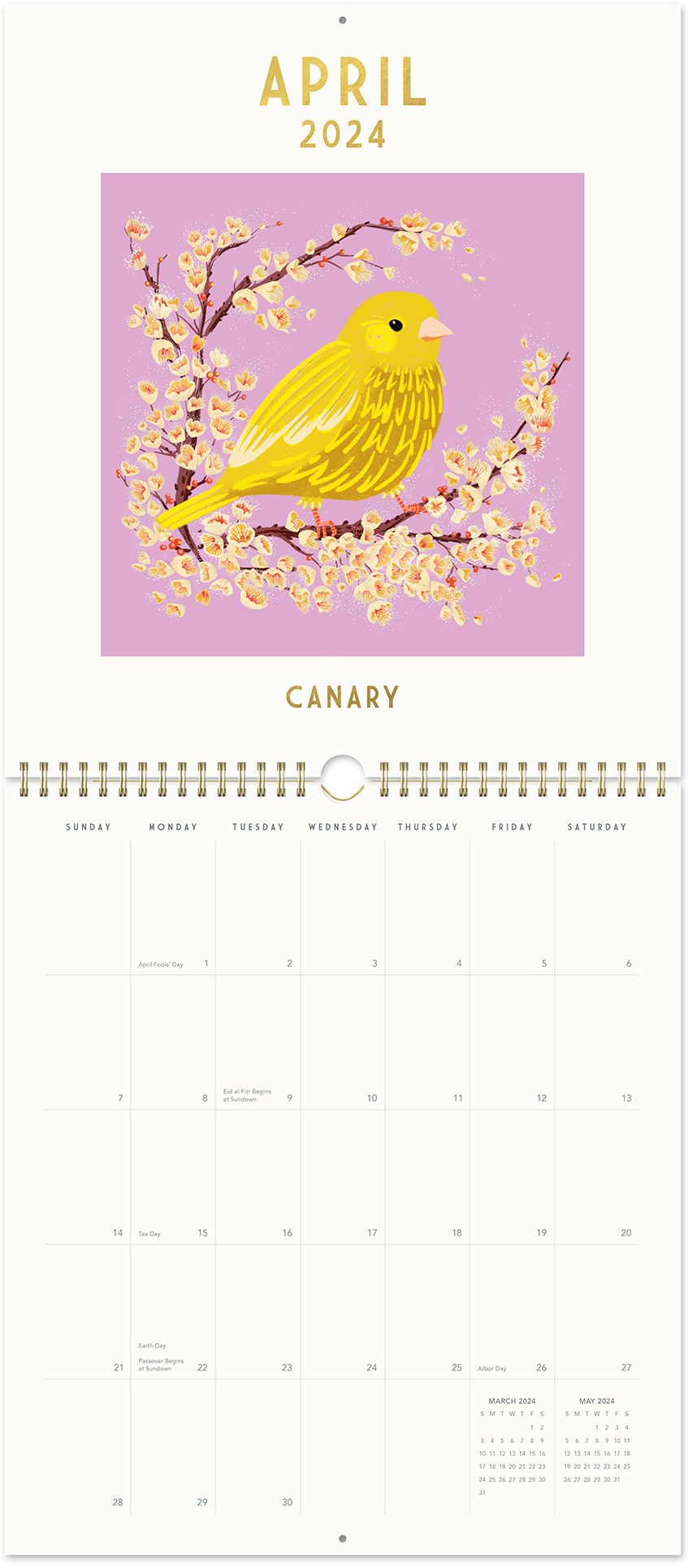 2024 Birth-Month Bird Wall Calendar