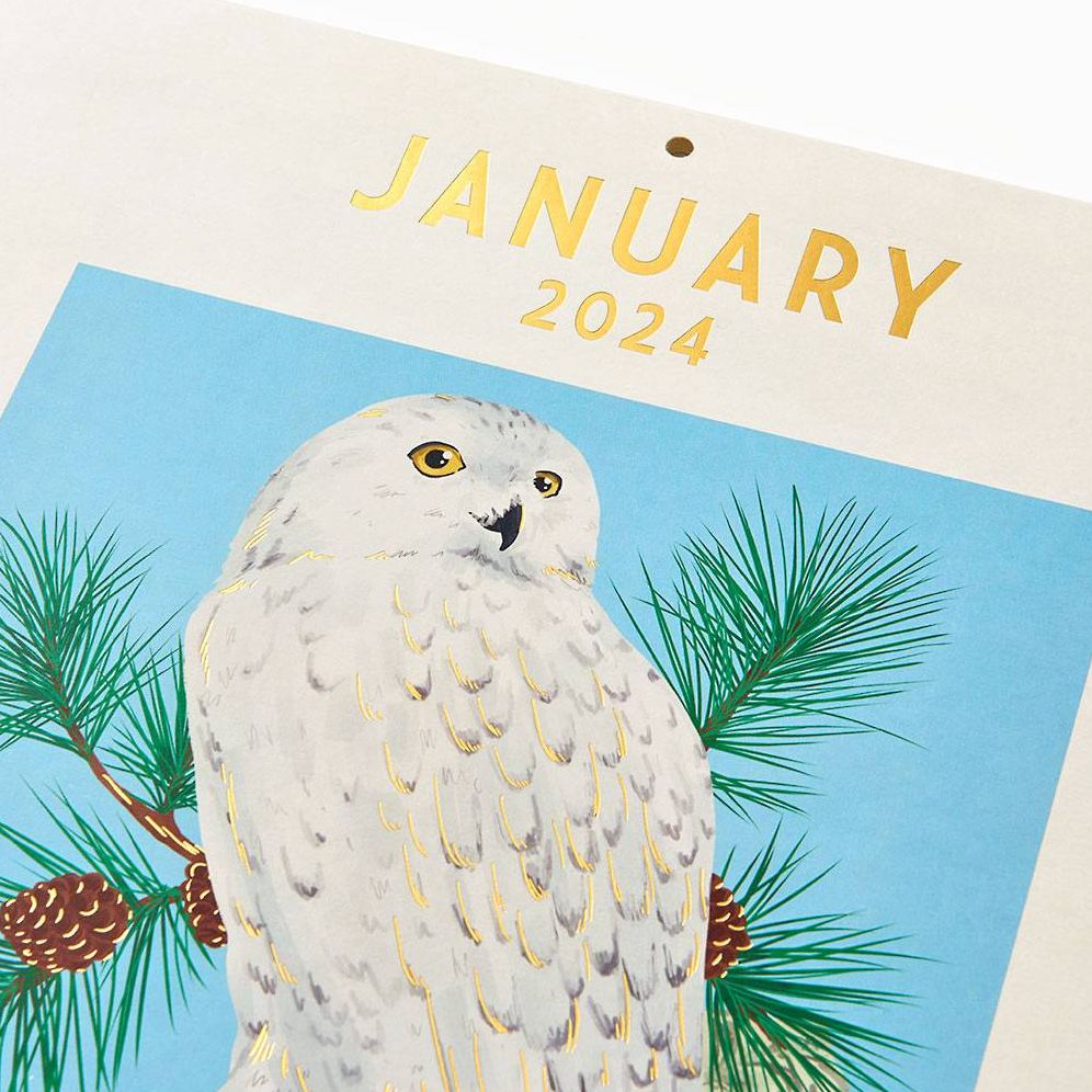 2024 Birth-Month Bird Wall Calendar