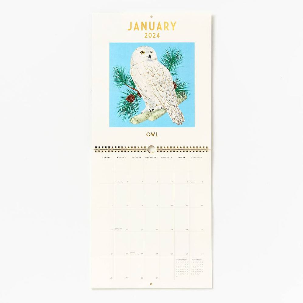 2024 Birth-Month Bird Wall Calendar