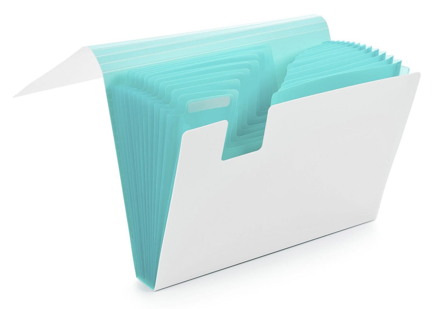 Aqua Accordion File